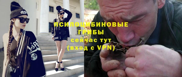 прущие грибы Алексин