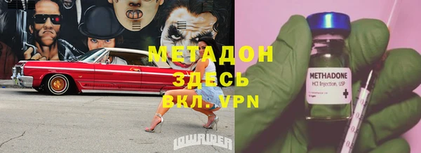 прущие грибы Алексин