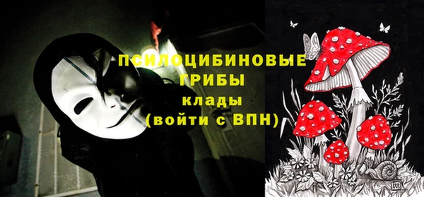 кокс Алзамай