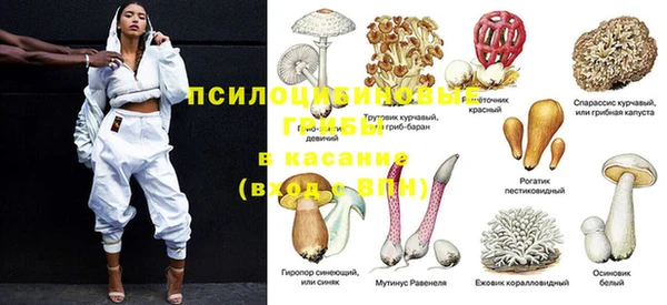 кокс Алзамай