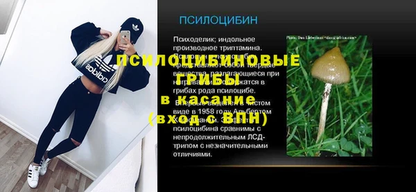 кокс Алзамай