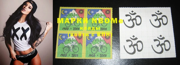 прущие грибы Алексин