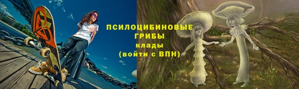 прущие грибы Алексин