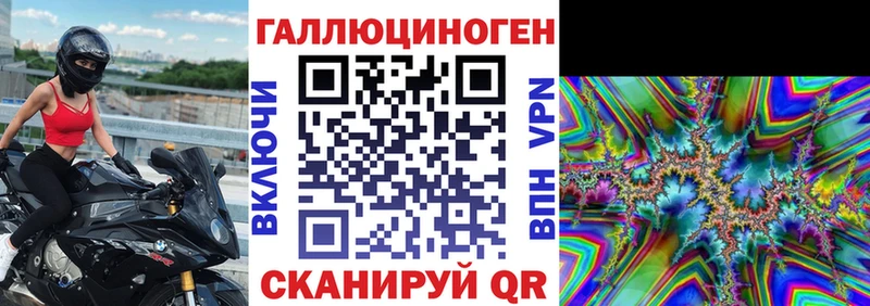 купить сайты Асино Галлюциногенные грибы Psilocybine cubensis